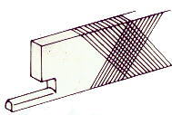 file1.jpg