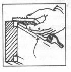 file3.jpg